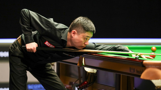 还展现出极 还展现出极