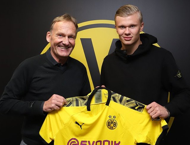 降低回合数 降低回合数